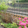 Lineside Fencing